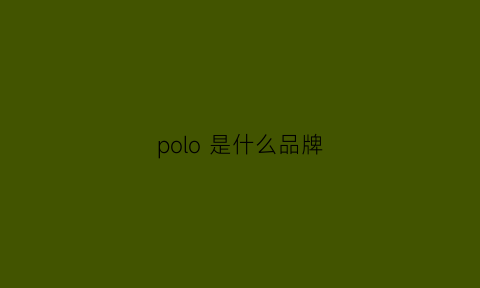 polo 是什么品牌